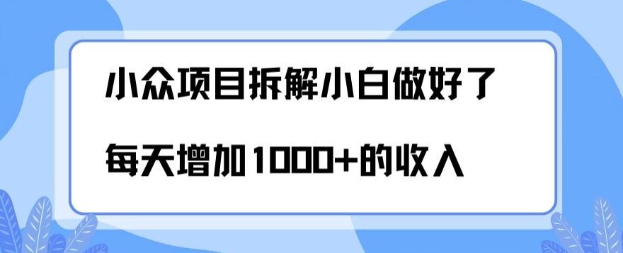 小众项目拆解，小白做好了每天可增加1000多的收入-九洲网