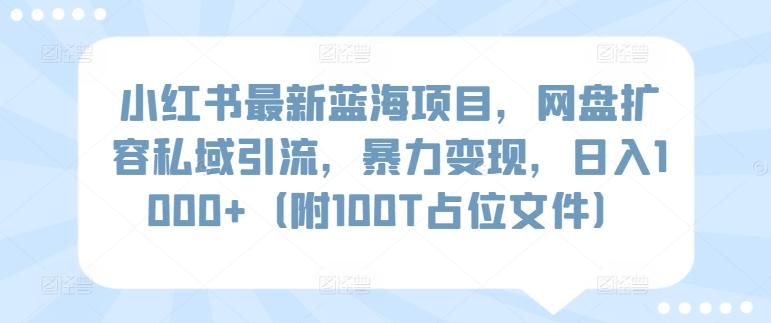 小红书最新蓝海项目，网盘扩容私域引流，暴力变现，日入1000+(附100T占位文件)【揭秘】-九洲网