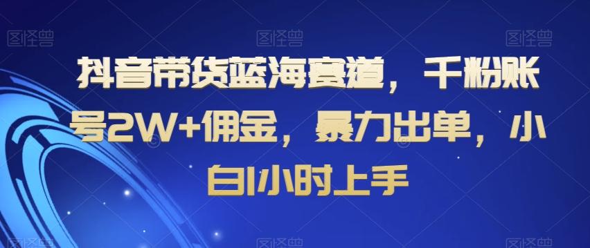 抖音带货蓝海赛道，千粉账号2W+佣金，暴力出单，小白1小时上手【揭秘】-九洲网