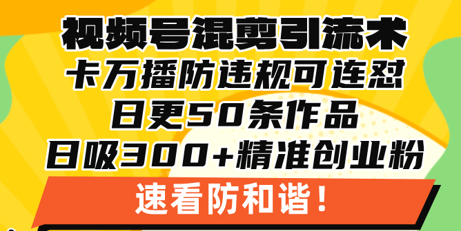视频号混剪引流技术，500万播放引流17000创业粉，操作简单当天学会-九洲网