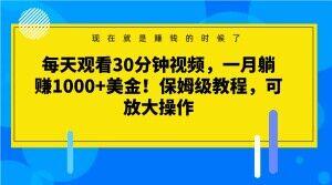 每天观看30分钟视频，一月躺赚1000+美金！保姆级教程，可放大操作【揭秘】-九洲网