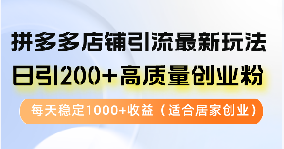 拼多多店铺引流最新玩法，日引200+高质量创业粉，每天稳定1000+收益(...-九洲网