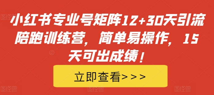 小红书专业号矩阵12+30天引流陪跑训练营，简单易操作，15天可出成绩!-九洲网