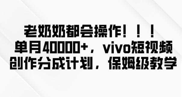 老奶奶都会操作，新平台无脑操作，单月40000+，vivo短视频创作分成计划【揭秘】-九洲网