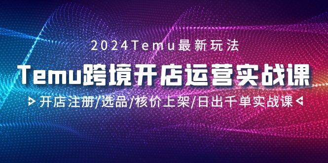2024Temu跨境开店运营实战课，开店注册/选品/核价上架/日出千单实战课-九洲网