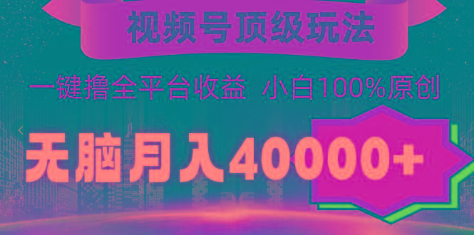 (9281期)视频号顶级玩法，无脑月入40000+，一键撸全平台收益，纯小白也能100%原创-九洲网