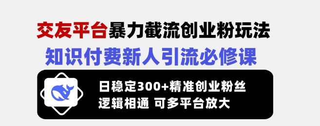 交友平台暴力截流创业粉玩法，知识付费新人引流必修课，日稳定300+精准创业粉丝，逻辑相通可多平台放大-九洲网