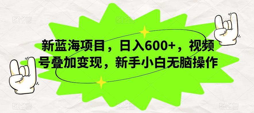 新蓝海项目，日入600+，视频号叠加变现，新手小白无脑操作【揭秘】-九洲网