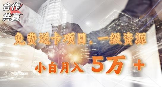 免费送卡项目，一级资源，小白月入5万+-九洲网