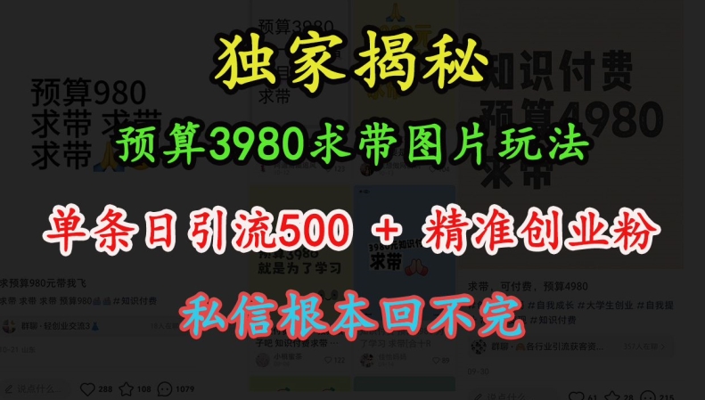 预算3980求带 图片玩法，单条日引流500+精准创业粉，私信根本回不完-九洲网