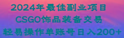 2024年最佳副业项目 CSGO饰品装备交易 轻易操作单账号日入200+-九洲网