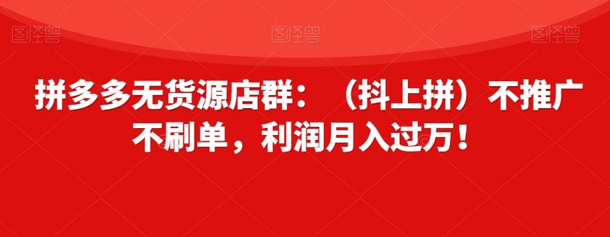 拼多多无货源店群：（抖上拼）不推广不刷单，利润月入过万！【揭秘】-九洲网