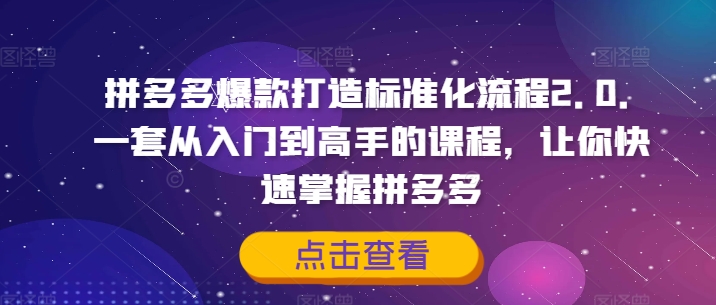 拼多多爆款打造标准化流程2.0，一套从入门到高手的课程，让你快速掌握拼多多-九洲网