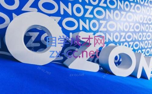 森哥·出海俄罗斯电商实操(2024)-九洲网