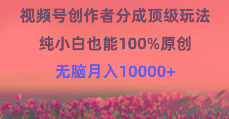 (9608期)视频号创作者分成顶级玩法，纯小白也能100%原创，无脑月入10000+-九洲网
