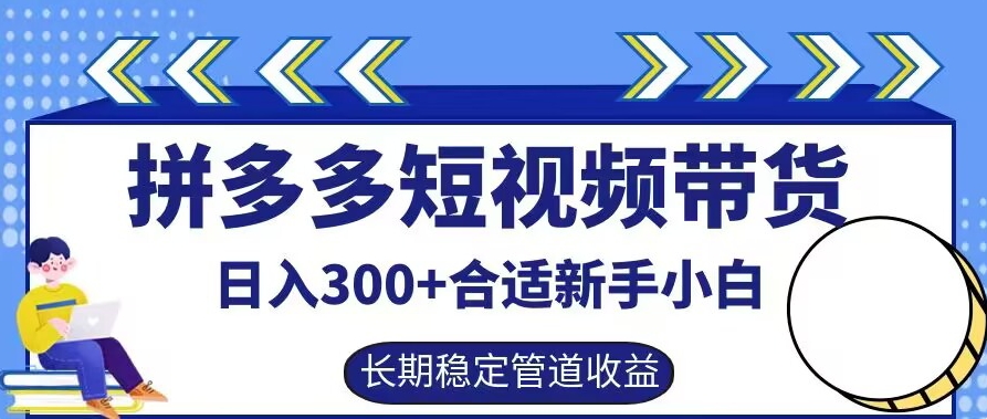 拼多多短视频带货日入300+有长期稳定被动收益，合适新手小白【揭秘】-九洲网