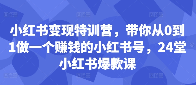 小红书变现特训营，带你从0到1做一个赚钱的小红书号，24堂小红书爆款课-九洲网
