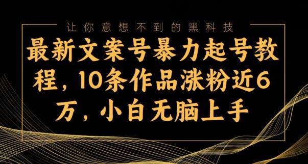 最新文案号暴力起号教程，10条作品涨粉近6万，小白无脑上手-九洲网