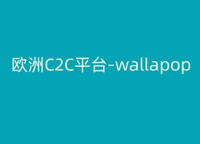 欧洲C2C平台-wallapop-kim跨境电商教程-九洲网