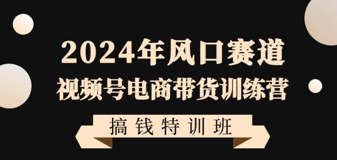 2024年风口赛道视频号电商带货训练营搞钱特训班，带领大家快速入局自媒体电商带货-九洲网