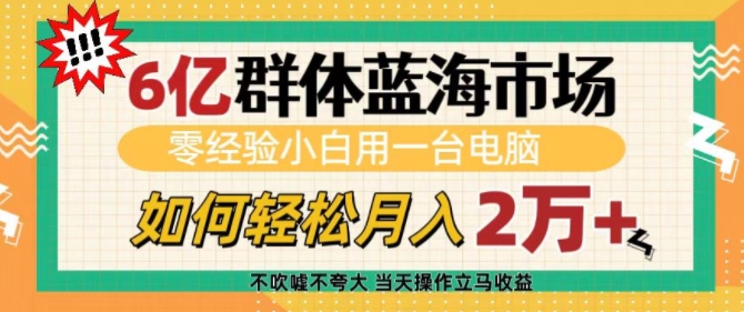 6亿群体蓝海市场，零经验小白用一台电脑，如何轻松月入过w【揭秘】-九洲网