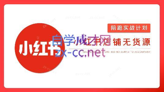 安琪·小红书店铺无货源-九洲网