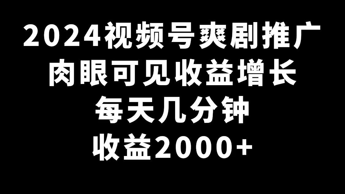 2024视频号爽剧推广，肉眼可见的收益增长，每天几分钟收益2000+-九洲网
