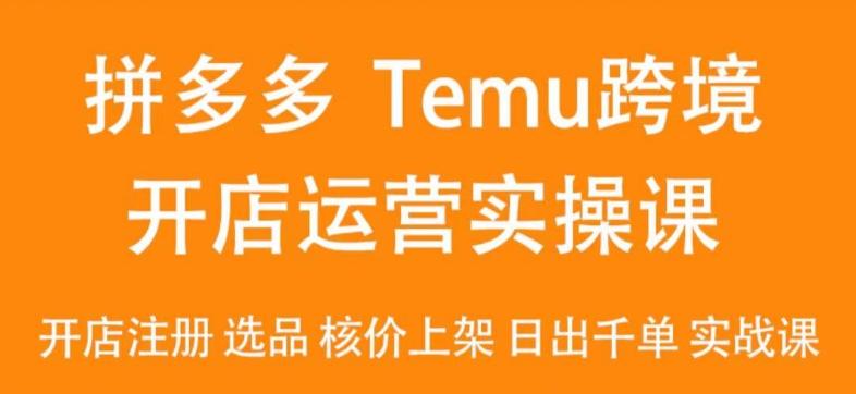2024Temu最新玩法，Temu跨境开店运营实操课，开店注册/选品/核价上架/日出千单实战课-九洲网