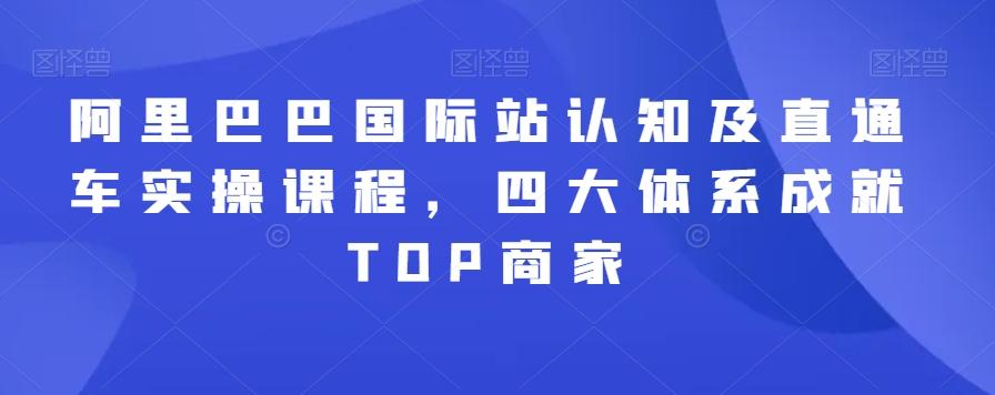 阿里巴巴国际站认知及直通车实操课程，四大体系成就TOP商家-九洲网
