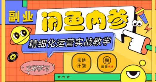 闲鱼精细化运营入门+高阶实战教学，从底层逻辑到轻松变现，多维度玩转闲鱼副业-九洲网