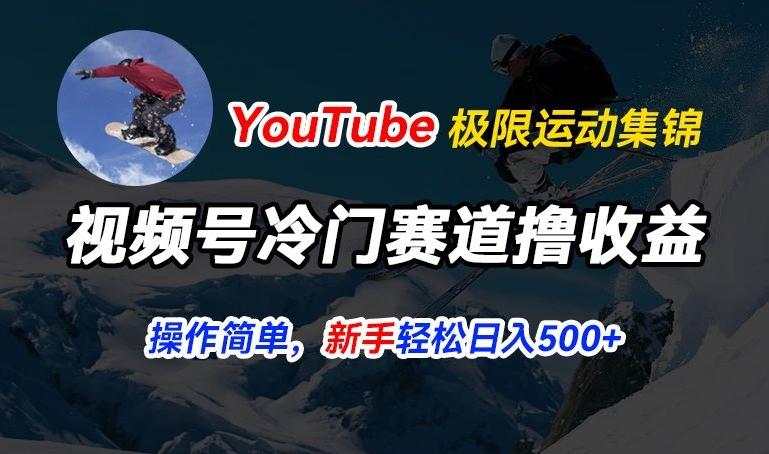 视频号冷门赛道撸收益，YouTube搬运极限运动集锦，暴力起号，操作简单流量高，轻松日入5张【揭秘】-九洲网