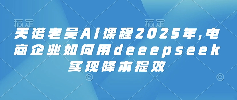 天诺老吴AI课程2025年，电商企业如何用deeepseek实现降本提效-九洲网