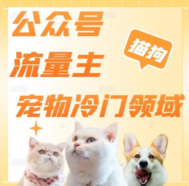 公众号流量主，萌宠冷门领域，单日收益2000+，简单暴力掘金，矩阵操作，无限放大收益！-九洲网