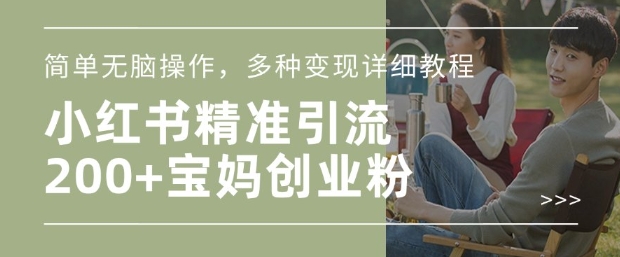 小红书混剪日引200+宝妈创业粉，简单无脑操作，多种变现详细教程-九洲网