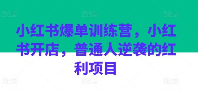 小红书爆单训练营，小红书开店，普通人逆袭的红利项目-九洲网