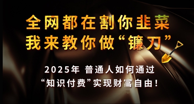 全网都在割你韭菜，我来教你做镰刀，2025年普通人如何通过 知识付费 实现财F自由【揭秘】-九洲网