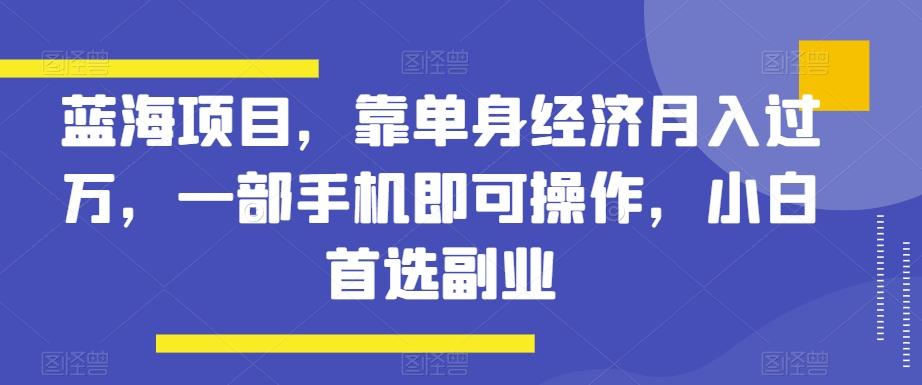 蓝海项目，靠单身经济月入过万，一部手机即可操作，小白首选副业【揭秘】-九洲网