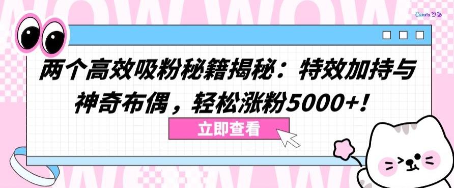两个高效吸粉秘籍揭秘：特效加持与神奇布偶，轻松涨粉5000+【揭秘】-九洲网