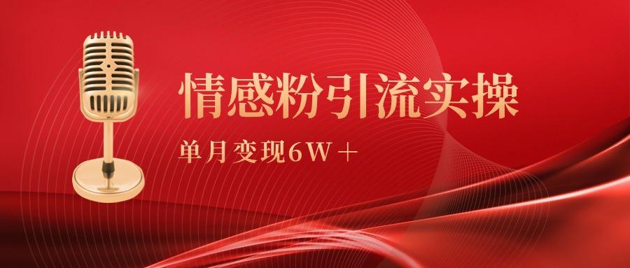 (9473期)单月变现6w+，情感粉引流变现实操课-九洲网