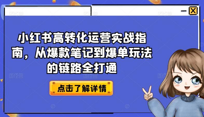 小红书高转化运营实战指南，从爆款笔记到爆单玩法的链路全打通-九洲网