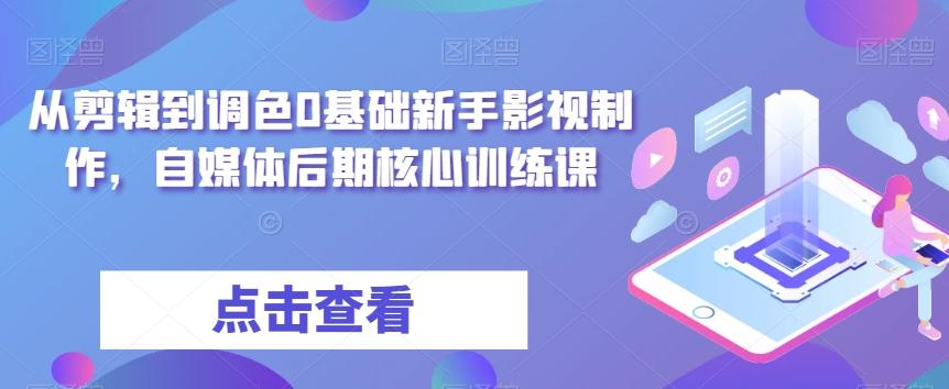从剪辑到调色0基础新手影视制作，自媒体后期核心训练课-九洲网