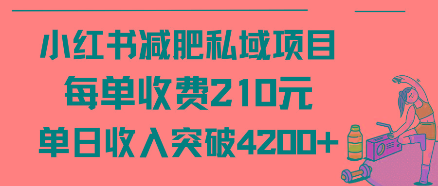 (9466期)小红书减肥私域项目每单收费210元单日成交20单，最高日入4200+-九洲网