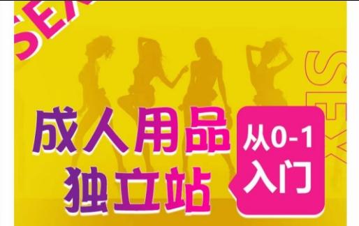 成人用品独立站从0-1入门，成品独立站运营全流程教学，七大好卖成品独立站推荐-九洲网