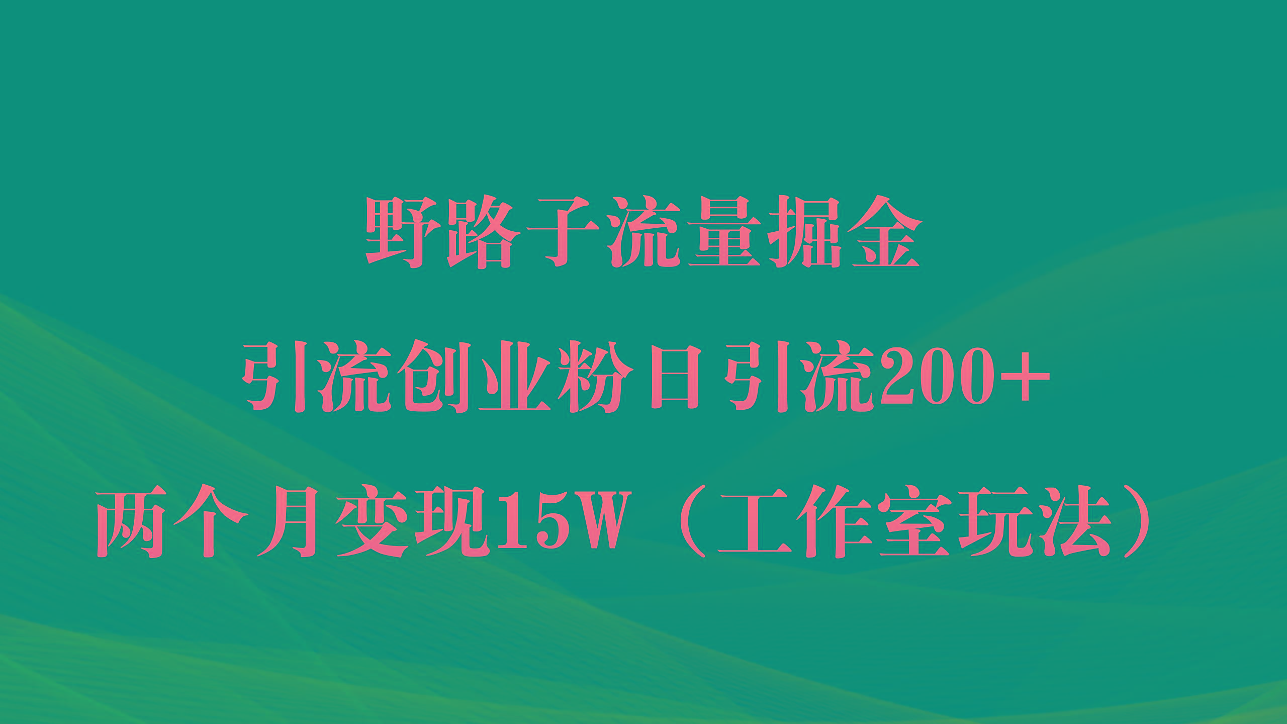 (9513期)野路子流量掘金，引流创业粉日引流200+，两个月变现15W(工作室玩法))-九洲网