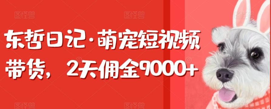 东哲日记·萌宠短视频带货，2天佣金9000+-九洲网