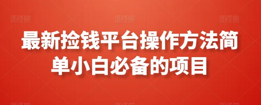 最新捡钱平台操作方法简单小白必备的项目-九洲网