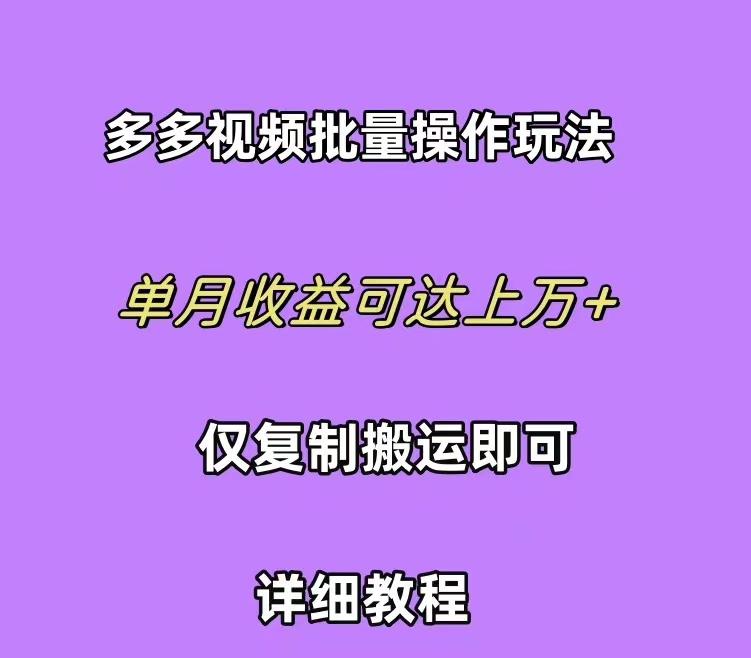 (10029期)拼多多视频带货快速过爆款选品教程 每天轻轻松松赚取三位数佣金 小白必...-九洲网