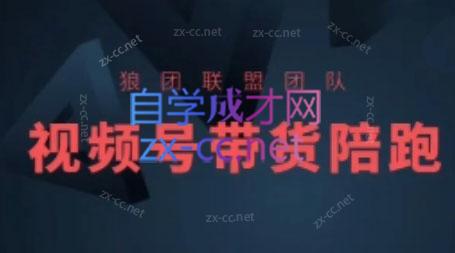 狼团联盟·2024视频号带货-九洲网