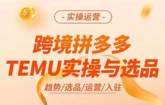 跨境拼多多TEMU实操与选品，多多temu跨境选品运营实操-九洲网