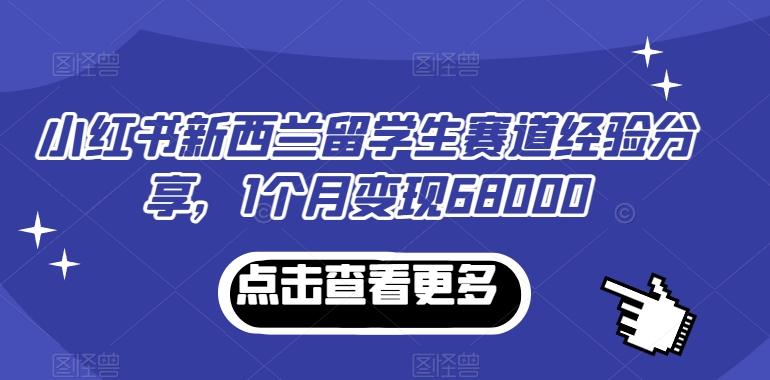 小红书新西兰留学生赛道经验分享，1个月变现68000【揭秘】-九洲网